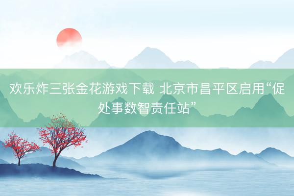 欢乐炸三张金花游戏下载 北京市昌平区启用“促处事数智责任站”